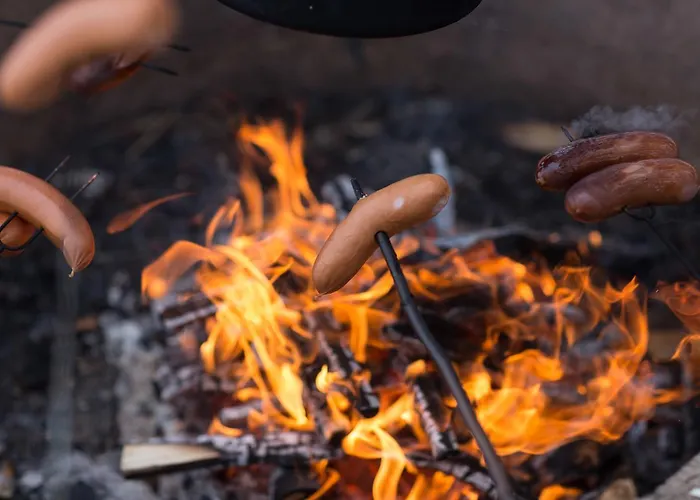 Peltolan Luomutila * Vilppula